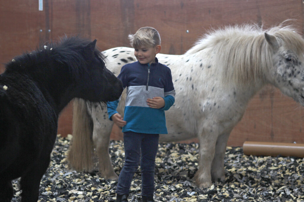 Horses and child